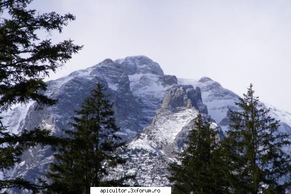 poze fotoklipa bucegii