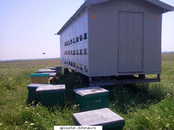 fotoklipa pavilonul dus camp