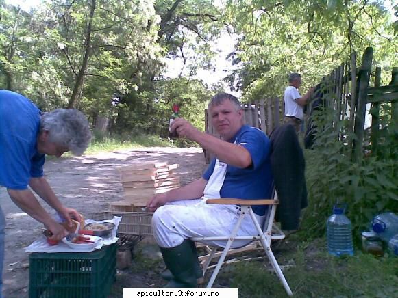 poze cu la gratar sterile