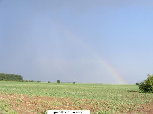 fotoklipa aduce anul ,se spune din batrani,ne anunta vedem cine stie???