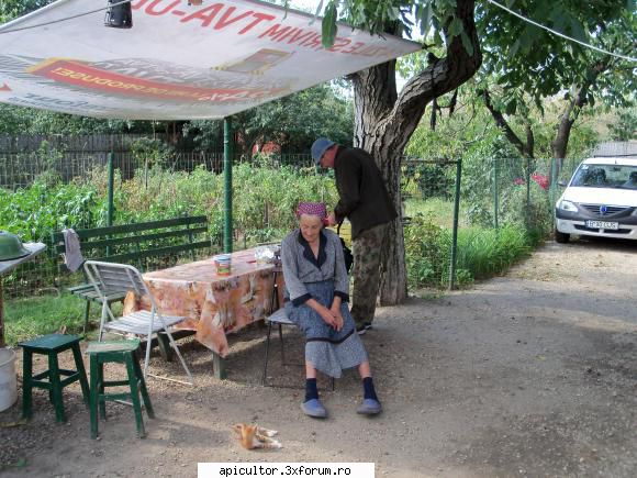 malebee bunicutza, ani moshulica ... saracu' s-a prapadit anul acesta mijlocul lui iunie.