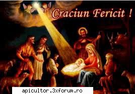 craciun fericit urez din toata inima craciun fericit toti colegii forum impreuna familiile lor.