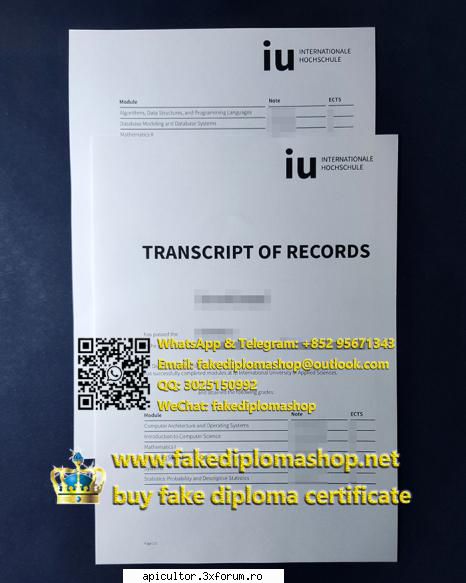 whatsapp: +852 95671343 customize your transcript and diploma the demands academic and career many