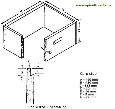 schite stupi corp