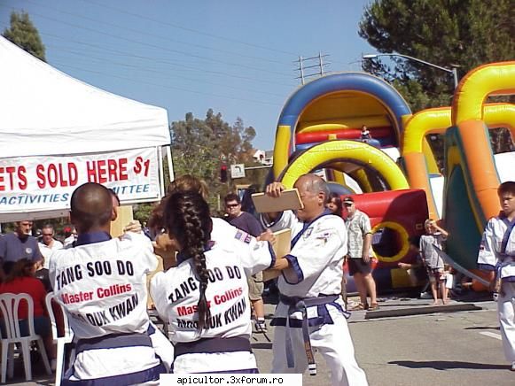 4th of July - Demonstrati de karate - POZE
