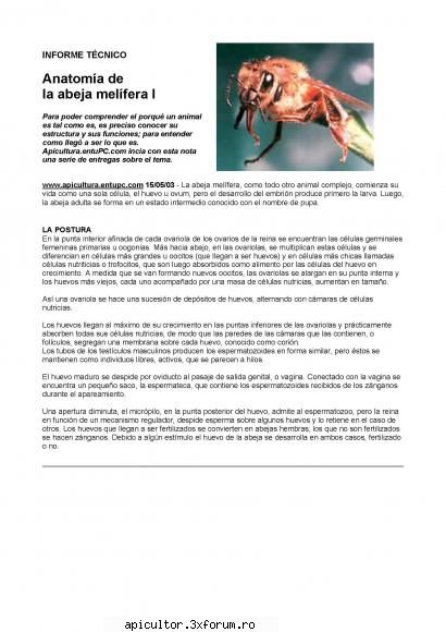 Anatomia albinei - zull - POZE