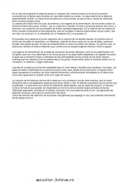 Anatomia albinei - zull - POZE