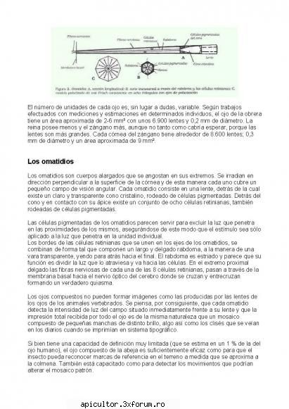 Anatomia albinei - zull - POZE