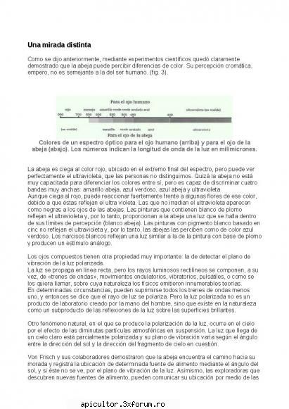Anatomia albinei - zull - POZE