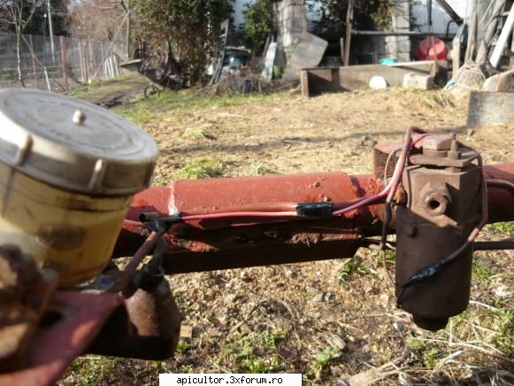 CUM SE NUMESC ACESTE PIESE? - p�nă la Corbeni sunt 60km.puteţi veni - PAVILIONUL APICOL