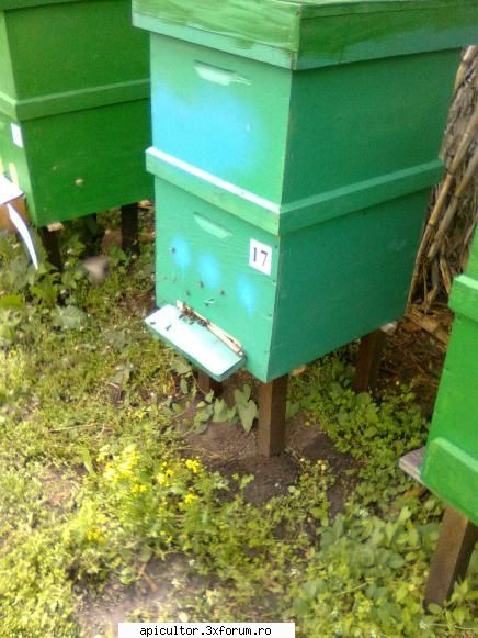 Cat 1/1 vs. cat 1/2 - gabi - STUPUL VERTICAL CU MAGAZIN