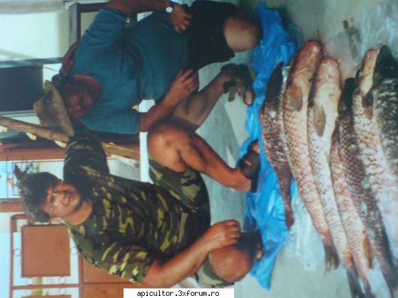 Din hoby am facut meserie - inca una , dupa o partida de 72 kg de crap - PASIUNI