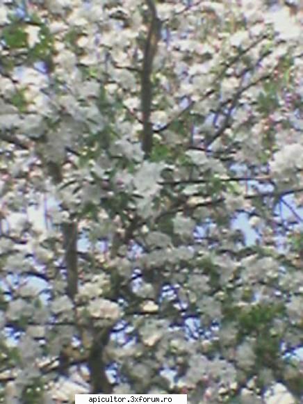 Fotografiile lui prisecarul - prisecarul - POZE