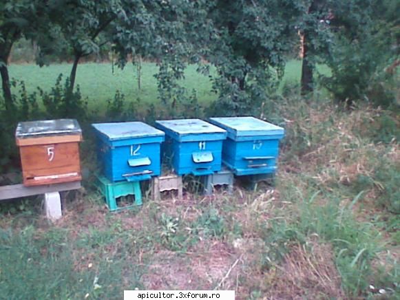 Fotografiile lui prisecarul - in aceste cutii se afla roii naturali - POZE