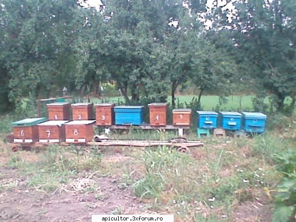 Fotografiile lui prisecarul - prisecarul - POZE