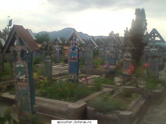 Fotografiile lui prisecarul - cimitirul vesel-sapanta - POZE