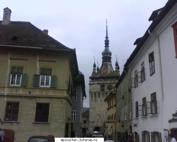 Fotografiile lui prisecarul - prisecarul - POZE
