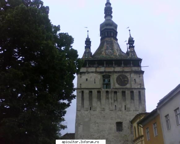 Fotografiile lui prisecarul - prisecarul - POZE