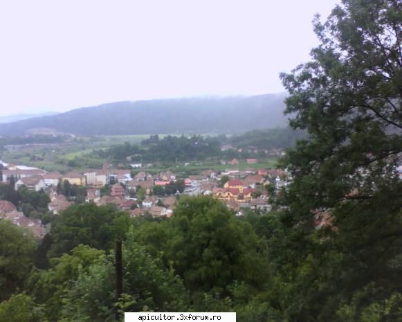 Fotografiile lui prisecarul - orasul, vazut din cetate - POZE