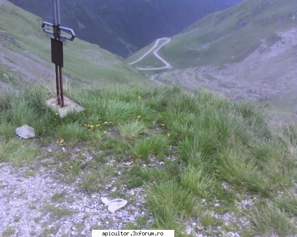 Fotografiile lui prisecarul - transfagarasanul, unde am putut fotografia - POZE