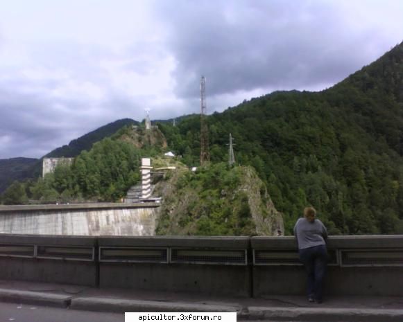 Fotografiile lui prisecarul - prisecarul - POZE