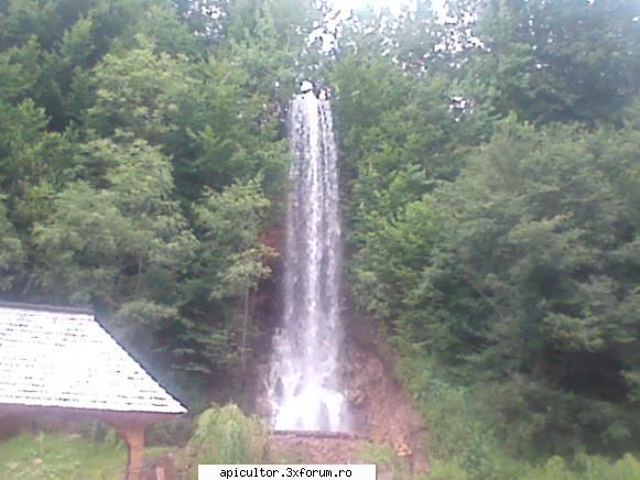 Fotografiile lui prisecarul - cascada care alimenteaza moara - POZE