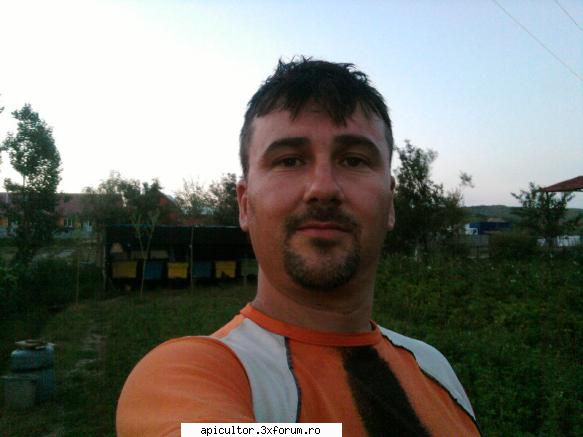 Juchi - stupinuta mea 2o12 - iar acum ,,subsemnatul" care va saluta ! - POZE