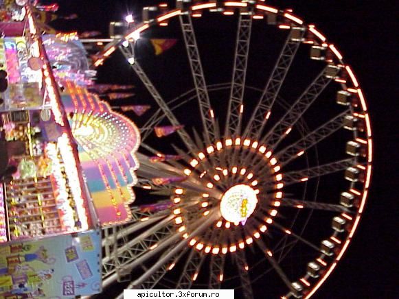 L.A. County Fair - AndreiRN - TARGURI APICOLE