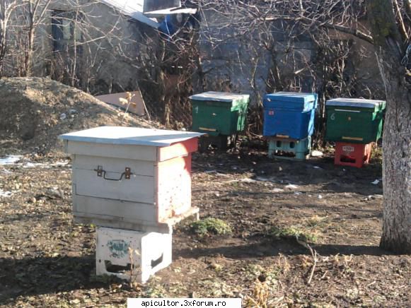 MANERE - Cu o bucata de platband asa ca in poza - SCHITE SI PLANURI