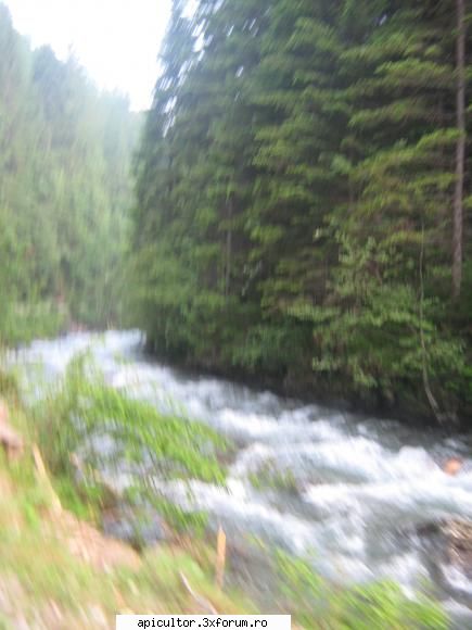 Matea Eusebiu - Valea Rea. Asa se numeste zona - DESPRE MINE! CINE SUNT!!!