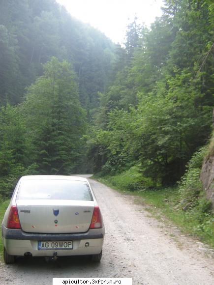 Matea Eusebiu - Uite cine ne-a carat in spate - DESPRE MINE! CINE SUNT!!!