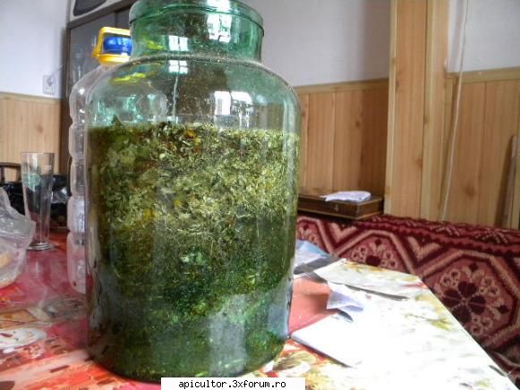 PROTOFIL reteta si efecte - Acum am turnat alcoolul si vedeti exact ca - INTRETINEREA ALBINELOR