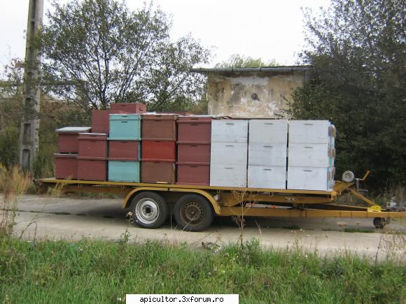 Platforma pt transport albine - Vand platforma pentru transportul albinelor. De - VANZARI ECHIPAMENTE APICOLE