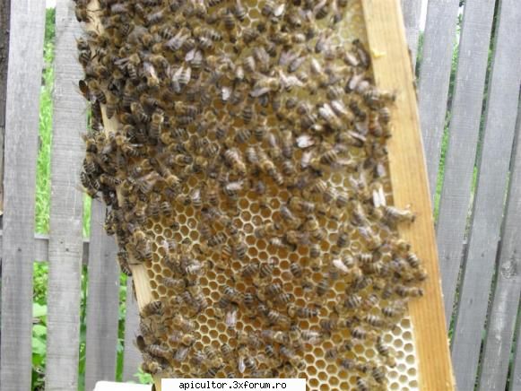 Poze Alin Stoian - alinstoian - POZE