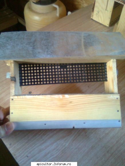 Poze Gabi G - Acum fata, dimensiune 70mm/245 mm, scandura vine - POZE