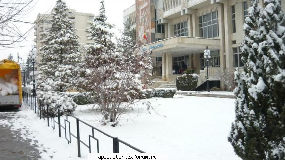 Poze Gabi G - C�mpina 2009, locul unde ne vom �nt�lni pe - POZE