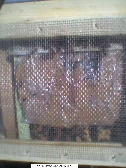 Poze Gabi G - a �nceput consumul la turte - POZE