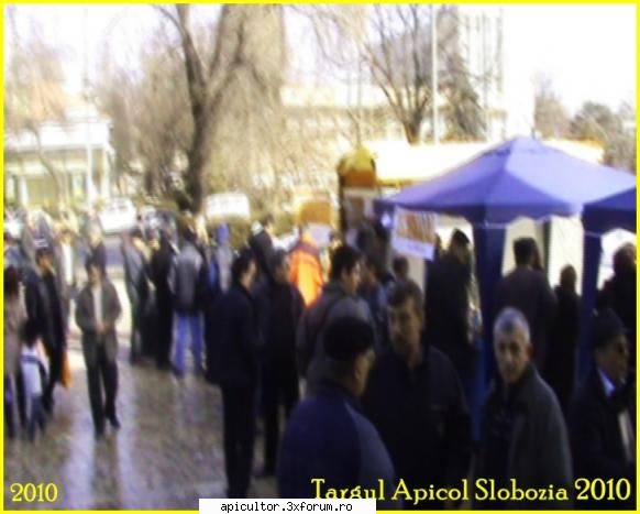 Poze targ Slobozia - Poze de la Targul Apicol Slobozia - POZE