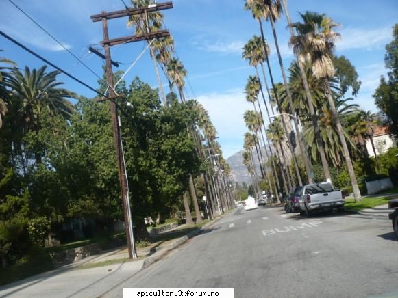 Pozele lui AndreiRN - Strada in Pasadena - POZE