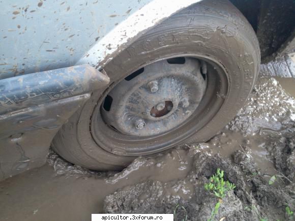 Stadiul de dezvoltare a albinelor - =( lipsa unui 4X4 isi spune cuvantul.Dar pot - INTRETINEREA ALBINELOR
