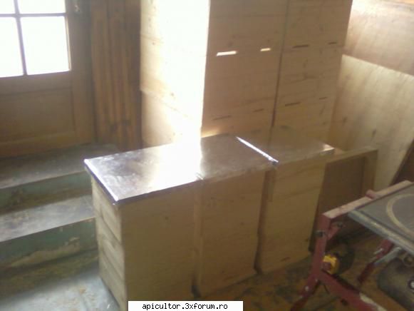 Stupul Warre - mutu29 - STUPUL WARRE