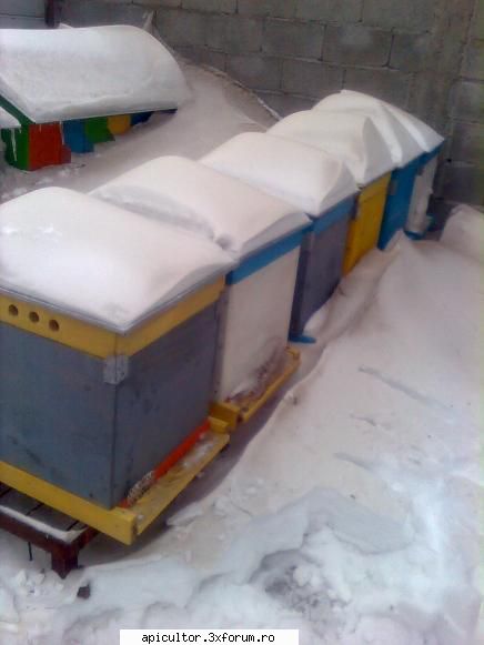 TARGURI APICOLE 2012 - Dragi apicultori, va anuntam pe aceasta cale ca - TARGURI APICOLE