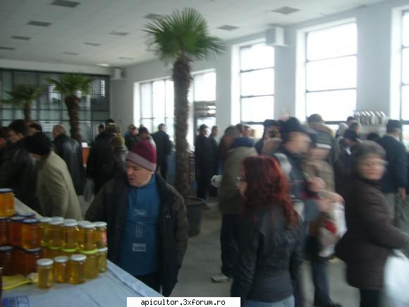 TARGUR APICOL GALATI 2011 - rica - TARGURI APICOLE