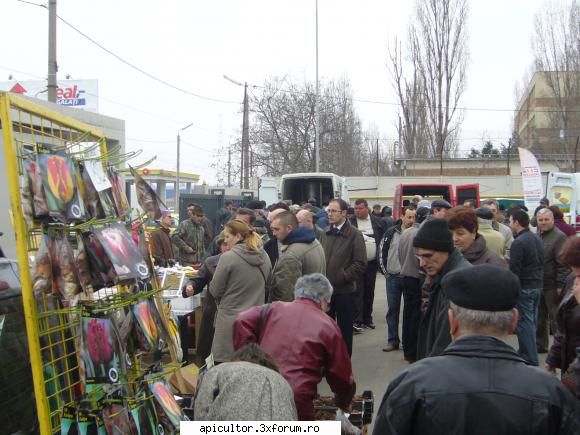 TARGUR APICOL GALATI 2011 - rica - TARGURI APICOLE