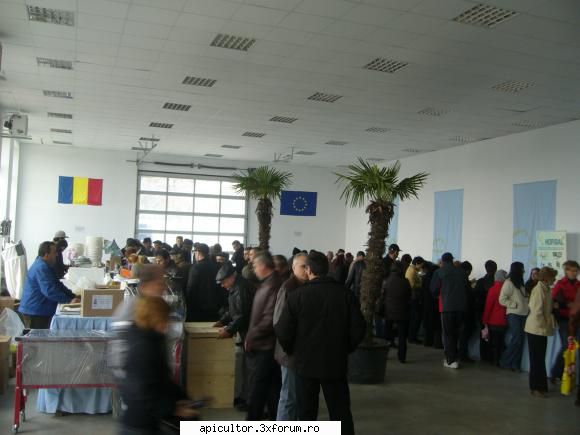 TARGUR APICOL GALATI 2011 - rica - TARGURI APICOLE