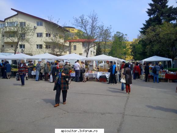 Targ Bucuresti - fotoklipa - TARGURI APICOLE
