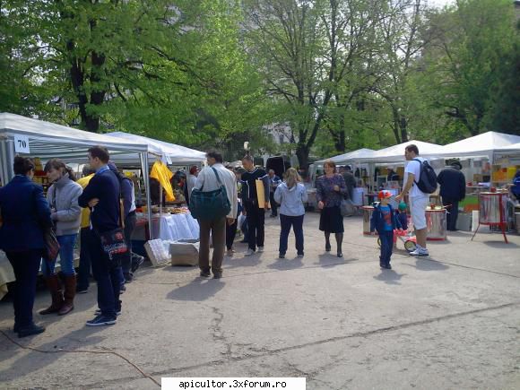 Targ Bucuresti - fotoklipa - TARGURI APICOLE