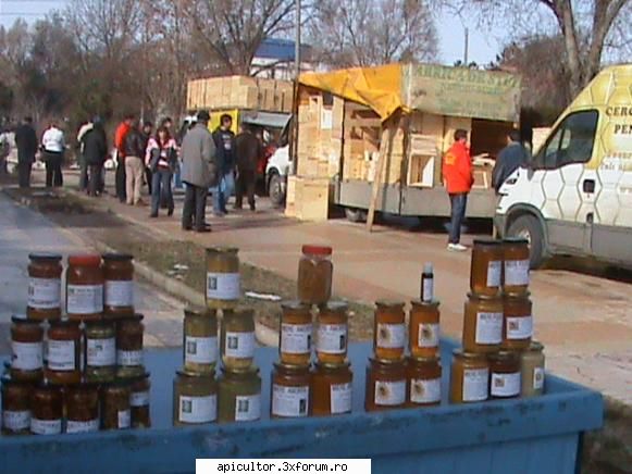 Targul Apicol-SLOBOZIA 2010 - Deschiderea targului din prima zi si desfasurarea - TARGURI APICOLE