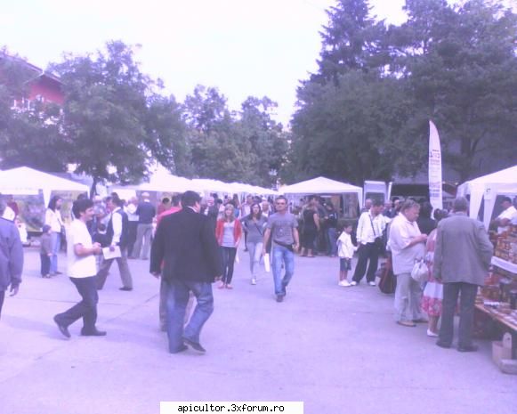 Targul National al Mierii - prisecarul - TARGURI APICOLE