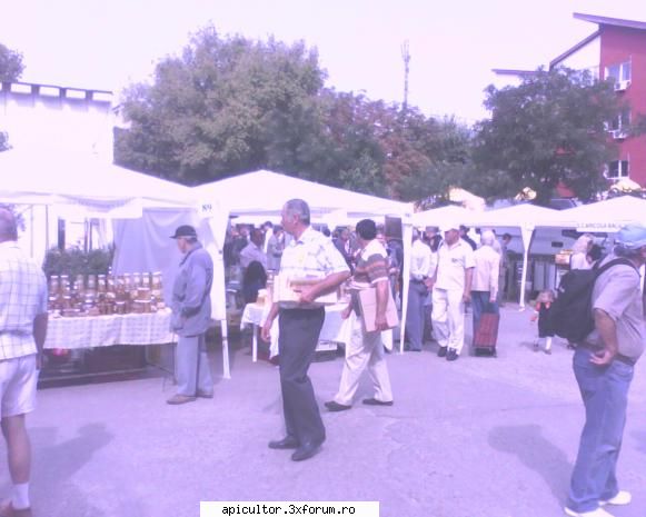 Targul National al Mierii - prisecarul - TARGURI APICOLE